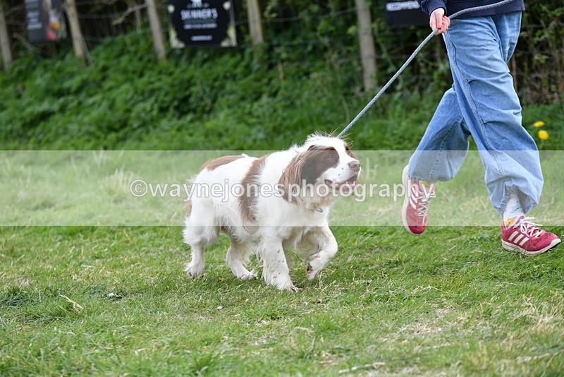 WJ5_0128 - Class 5 Best Veteran / 7 years & over