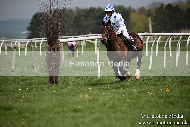 PtP 210418 46 - South & West Wilts Point-to-Point Larkhill 21/04/18