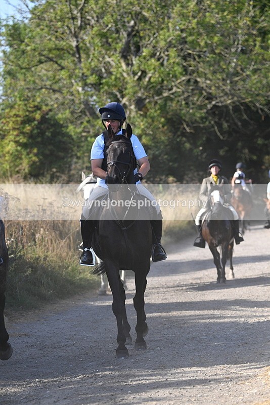 WJ5_5006 - Walk out with the hounds