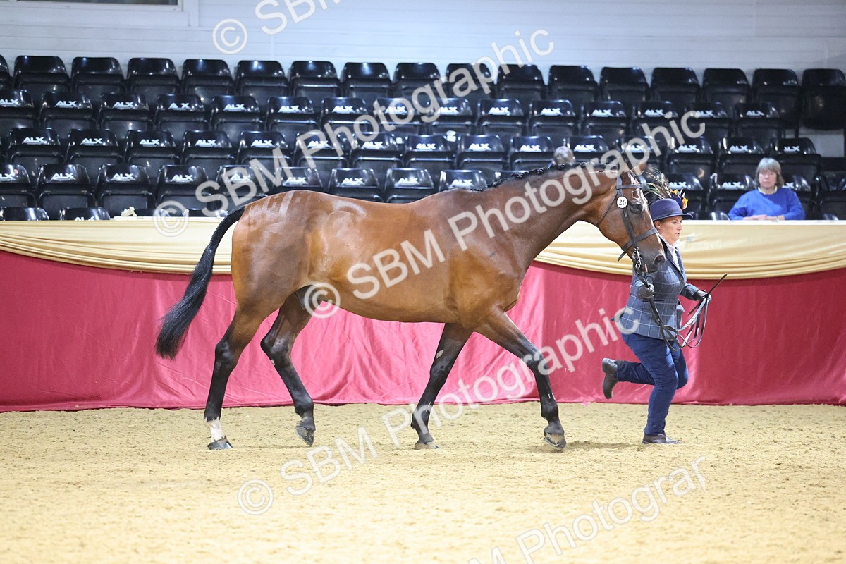 SBM_19589 - Class 901 - Supreme Final - IH Diamond