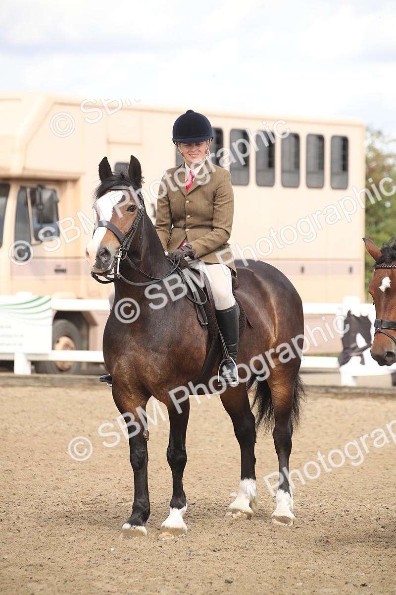 SBM_14582 - Class 505a - M&M Working Veteran - 50cm (15-19)