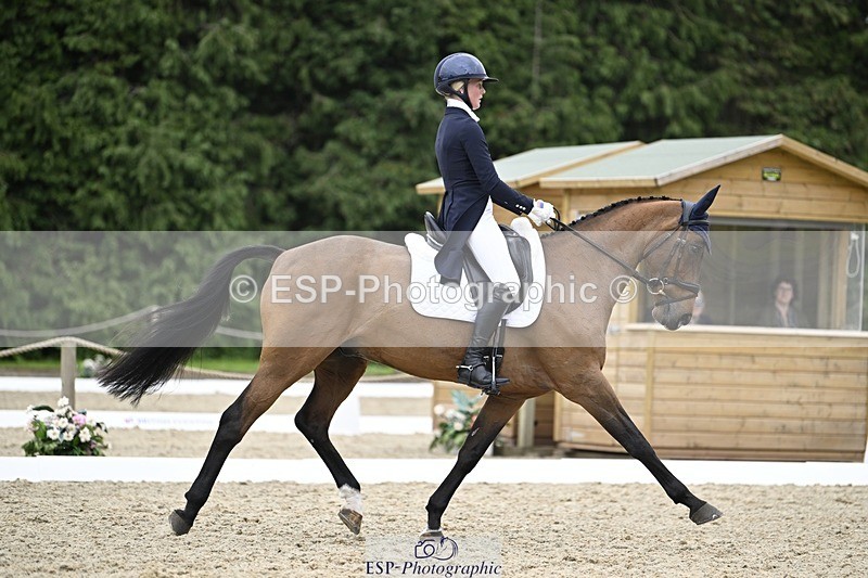 240523-144926-05109 - 442-FERNHILL_ZORO-Cassie_Sanger