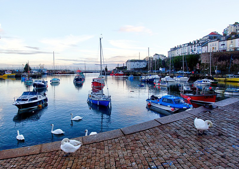 BX37 - Early morning Brixham Harbour - Greetings Cards Brixham Broadsands and Kingswear