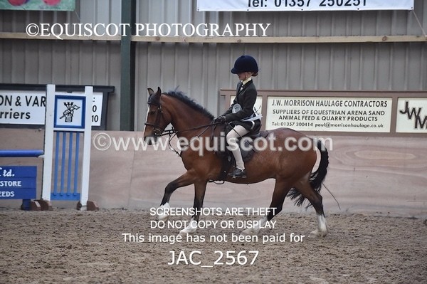 JAC_2567 - CLASS 3 Intermediate Working Hunter
