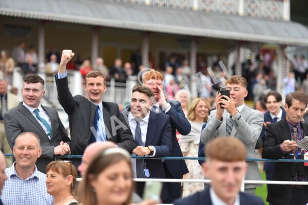 yr22072022r5-46 - Race 5 7.20pm British Stallion Studs EBF Lyric Fillies' Stakes