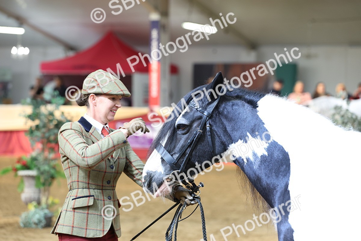 SBM_23376 - Class 903 - Supreme Final - IH Pre Vet