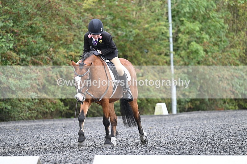 WJ7_4050 - Time 11:04 to 11:38