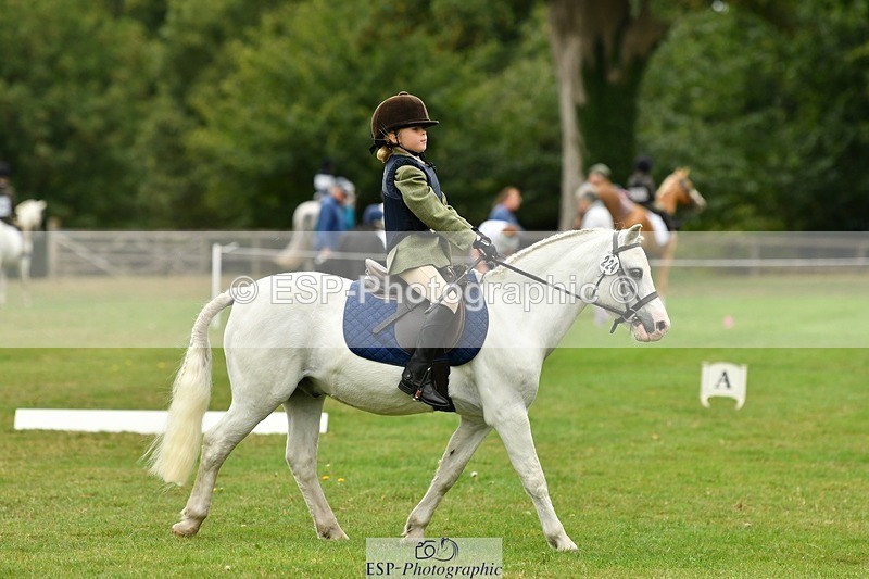 250820A-113908-05179 - 11am to 12