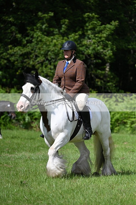 WJ7_1253 - Class 11 Condition & Turnout