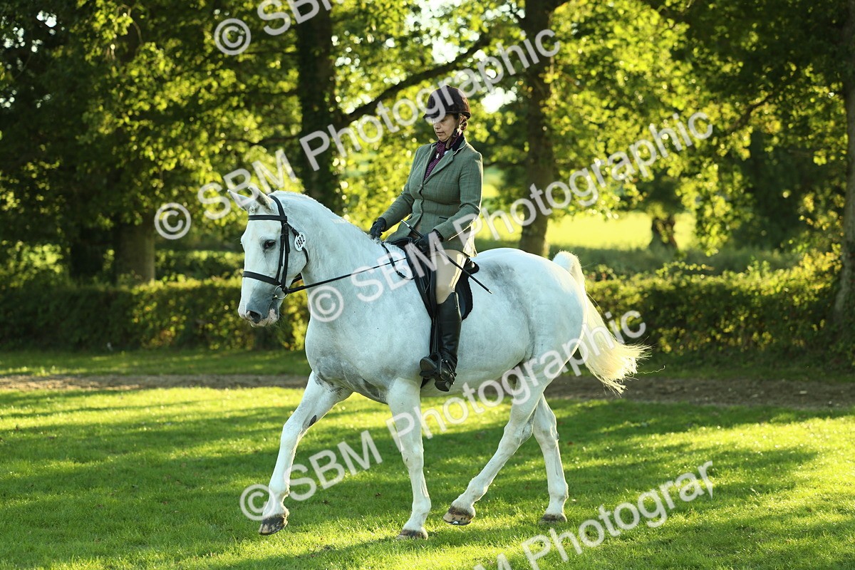 SBM_55578 - S14 - Riding Club Horse