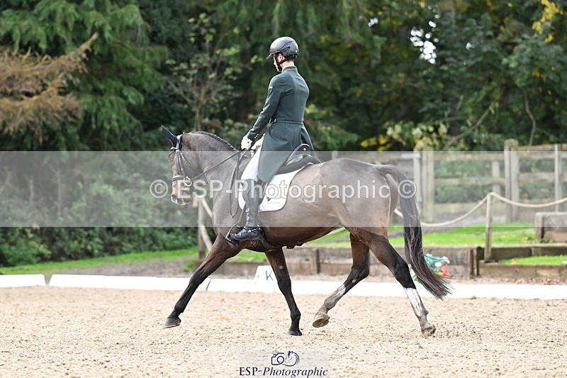 251023A-110358-01629 - B-134-Rafael.Losano