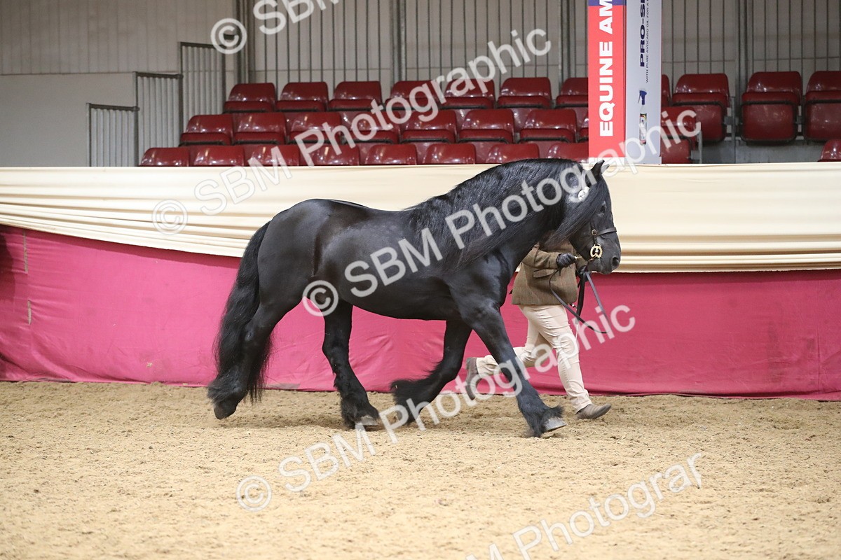 SBM_05288 - Class 8R - Regional IH Veteran