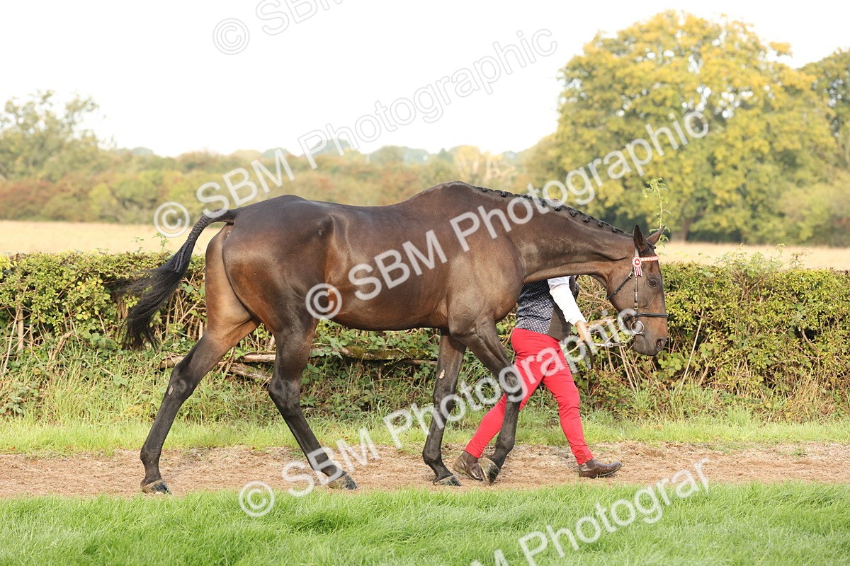 SBM_54661 - S53 - Hunter In Hand
