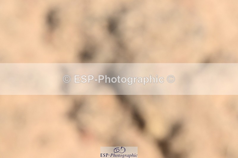 240509A-130631-01960 - Cls 10 National 1.30m Open