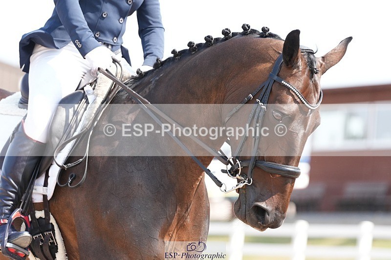 250817-114850-08904 - 140-Jane.GregoryRUTHIES.DREAM