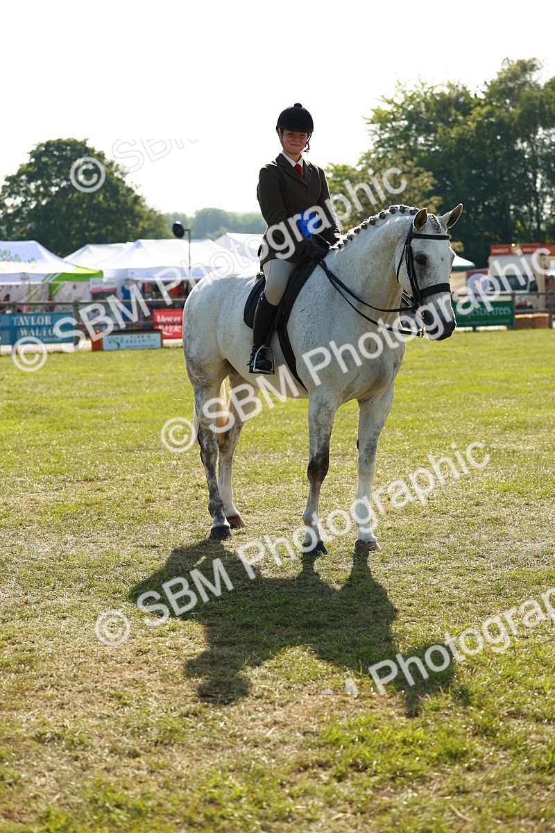 SBM_10965 - Class 66-69 - RIHS Ridden Hunters Inc Small Hunter