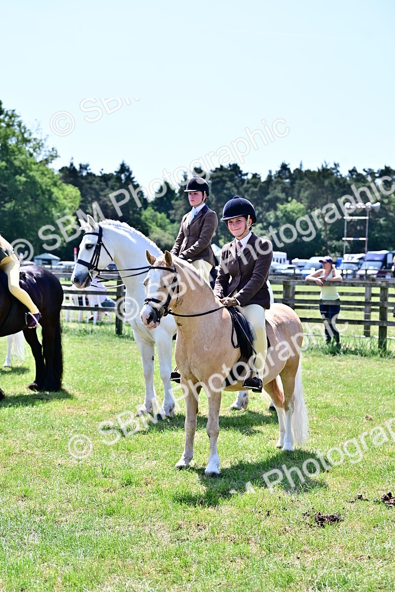 SBM_15419 - Class 95-97 - BSPS LHS Performance Ponies