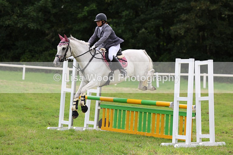 3E7A7235 - Class 5: Senior British Novice/90cm open