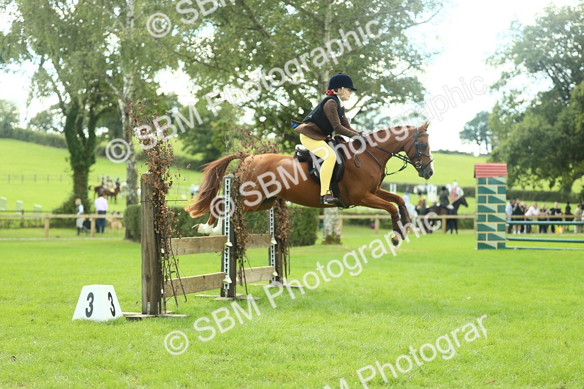 SBM_44638 - S31 - Working Hunter Pony