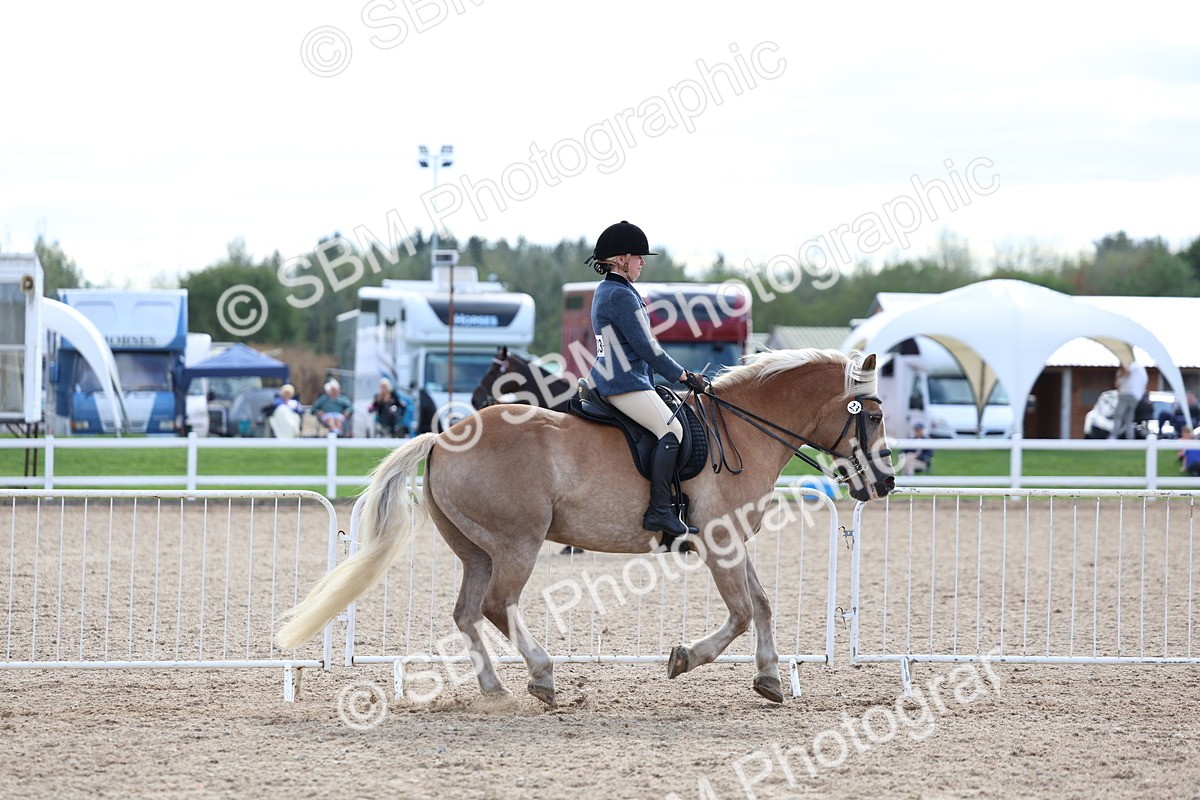 SBM_17138 - Class 315 - Best Horse - Rider Combination