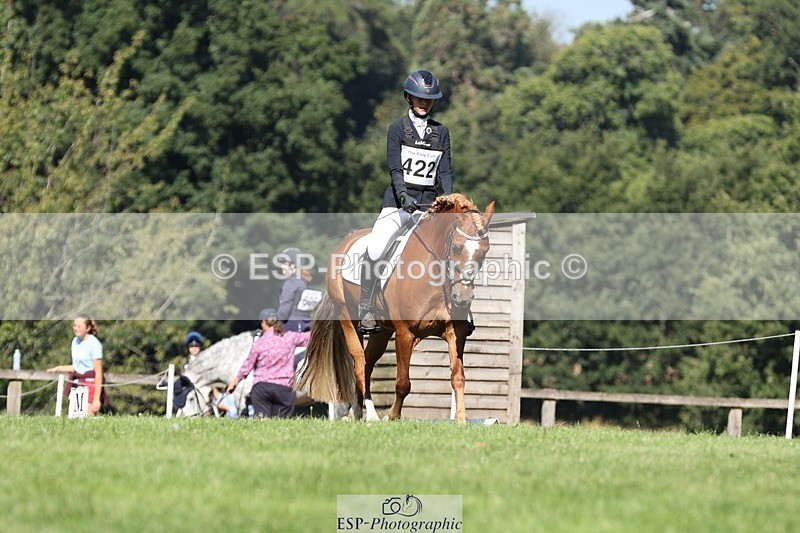 250823A-103601-27734 - Arena D