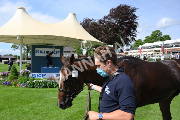 yr11062021r3-51 - Race 3 2.55pm SKF Rous Selling Stakes