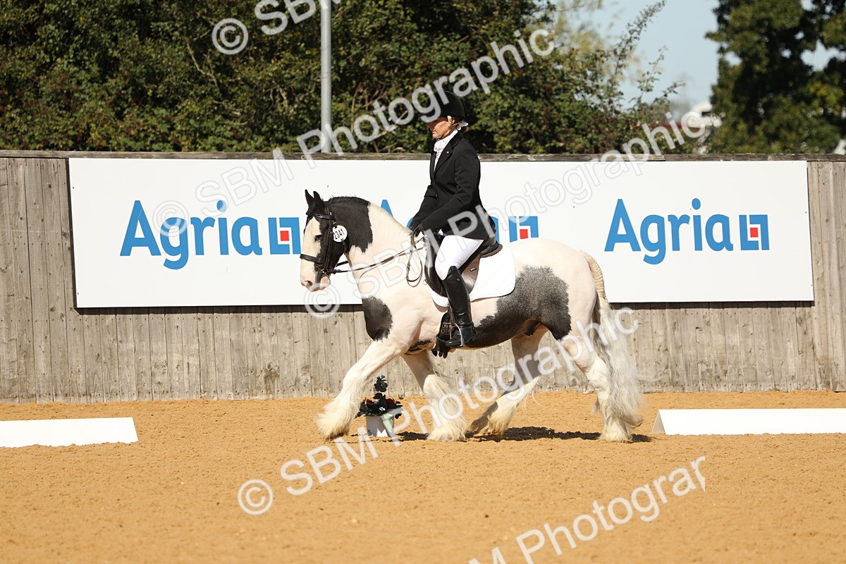 SBM_18865 - D10 - Small Tour Championship - Prelim 2