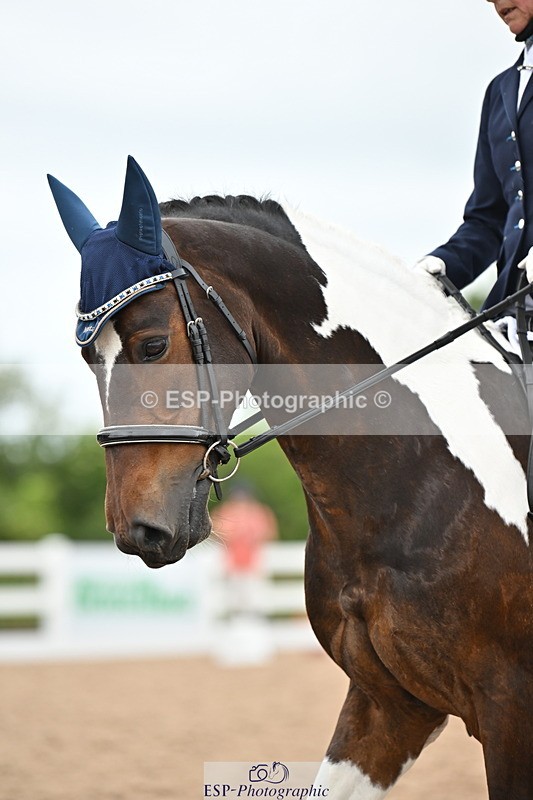 240623A-150849-19510 - Cls 51 BD Elementary 53