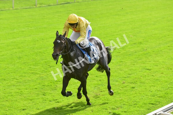 yr24092021r1-148 - Race 1 1.10pm Ernest Cooper Macmillan Ride of Their Lives