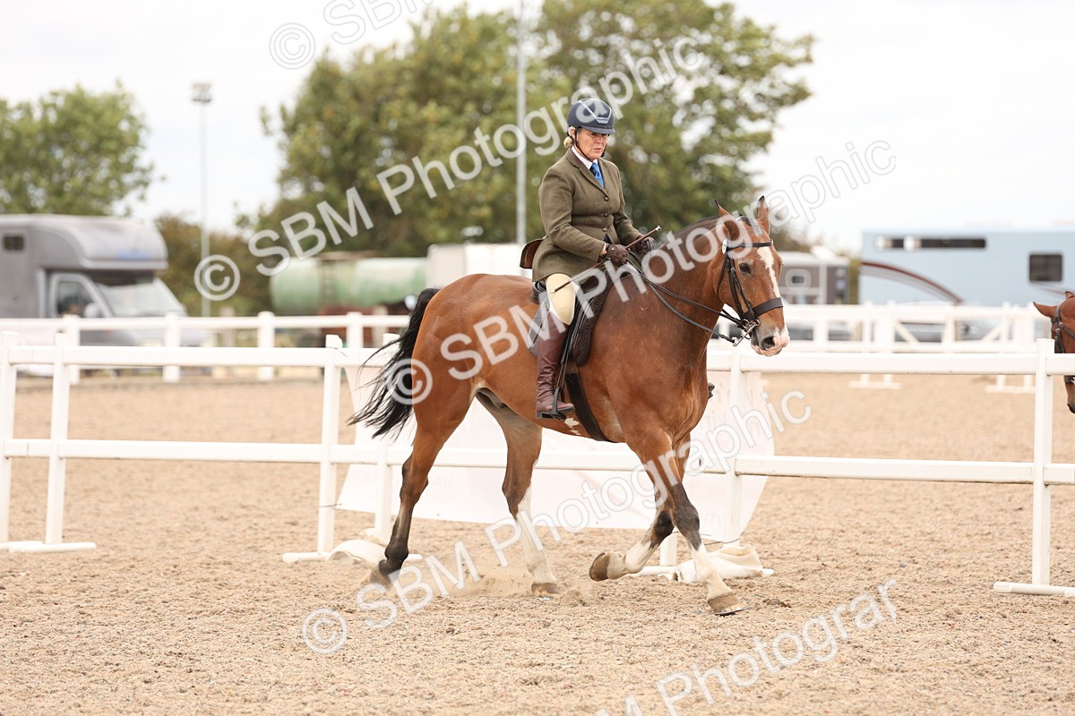 SBM_19527 - Class 215 - Ridden Show cob