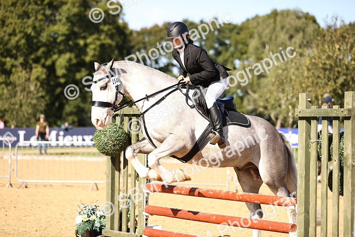 SBM_38346 - J39 - Senior 85cm Championship
