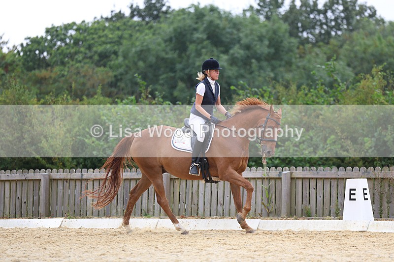 3E7A7445 - Class 9: Elementary 4 2024 - No sections