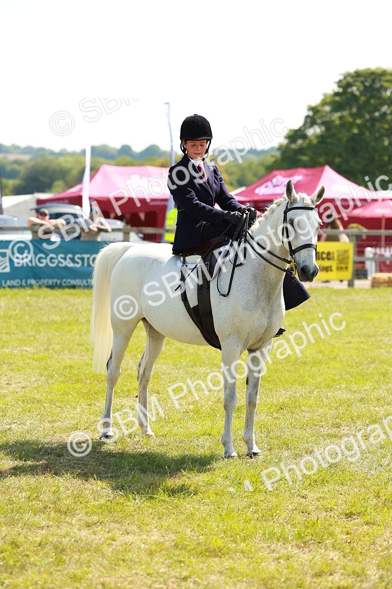 SBM_13378 - Class 70-71 - Side Saddle