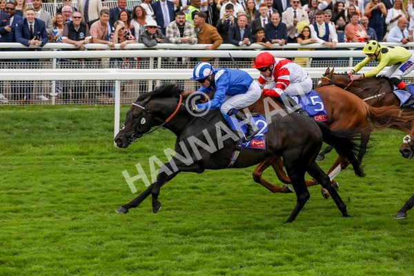 270724-Race 1-Alflaila-4691 - Race 3 3.15pm Sky Bet York Stakes