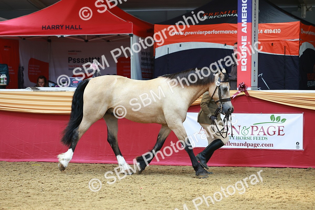 SBM_04188 - Class 9R - IH Pre-Vet