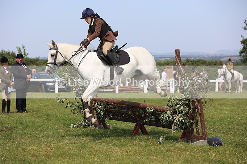 JPP_3617 - Class 23: Working Hunter 80cm