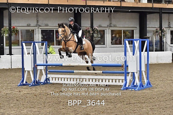 BPP_3644 - FRI CLASS 21 BR NOVICE/90CM