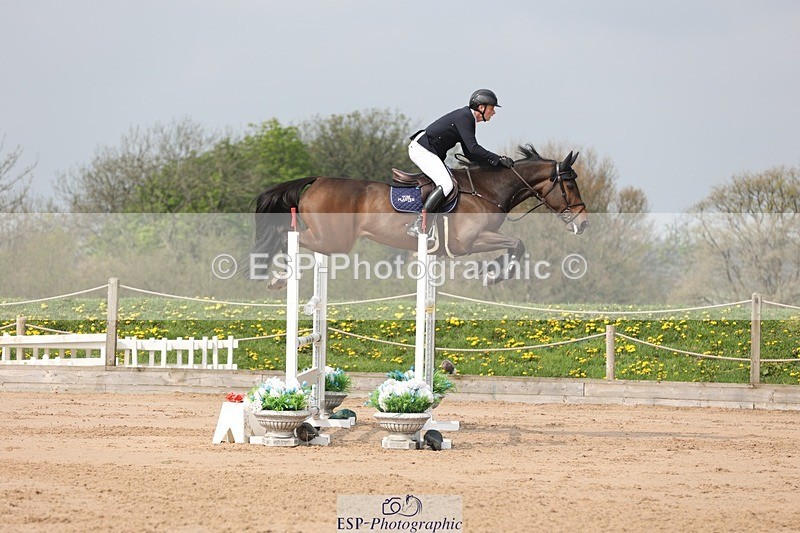 250424-105236-03274 - Cls 33 Young Horse 7yr old