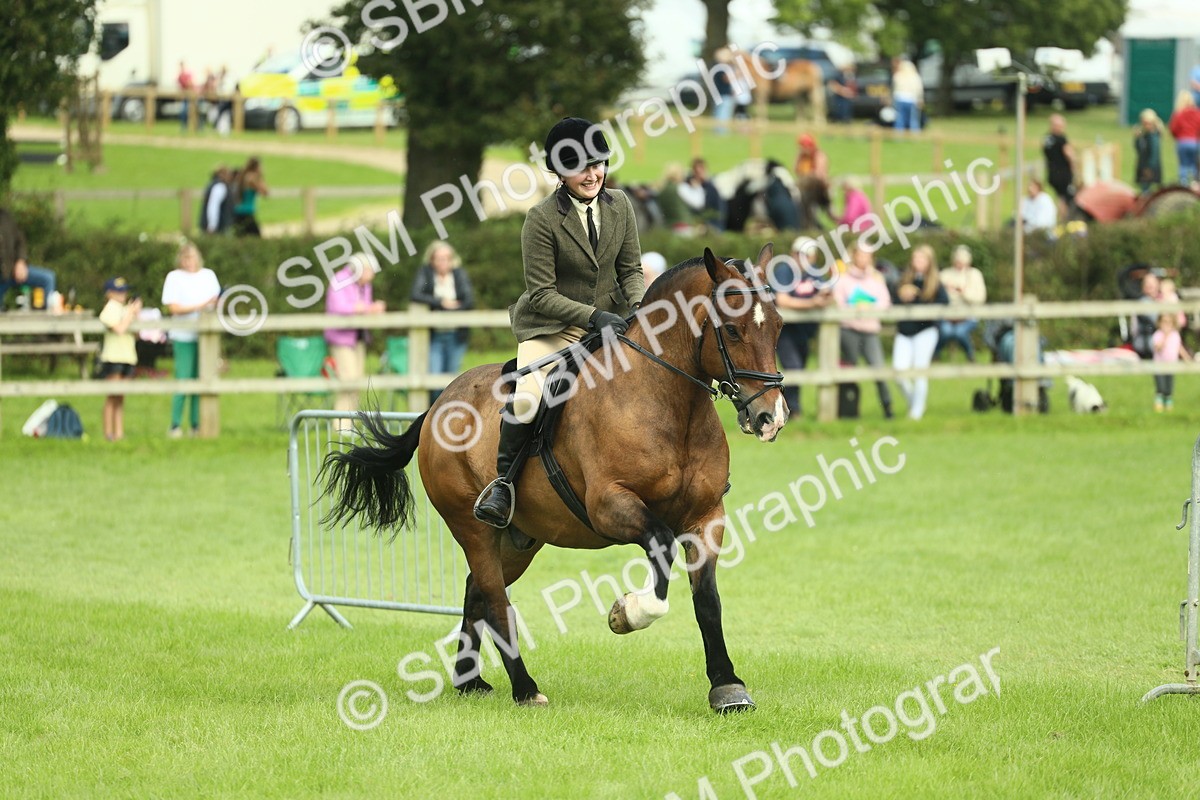 SBM_42257 - S29 - Novice & Newcomers Working Hunter Pony