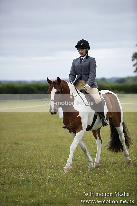 BVR160717-70 - Ring 1 BVRC Show 16/07/17