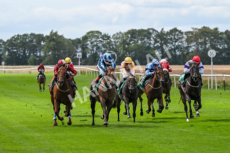 080825-Race 1-Golden Prosperity-1725 - Race 1