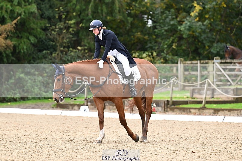 251023A-124419-02316 - B-154-Holly.Law