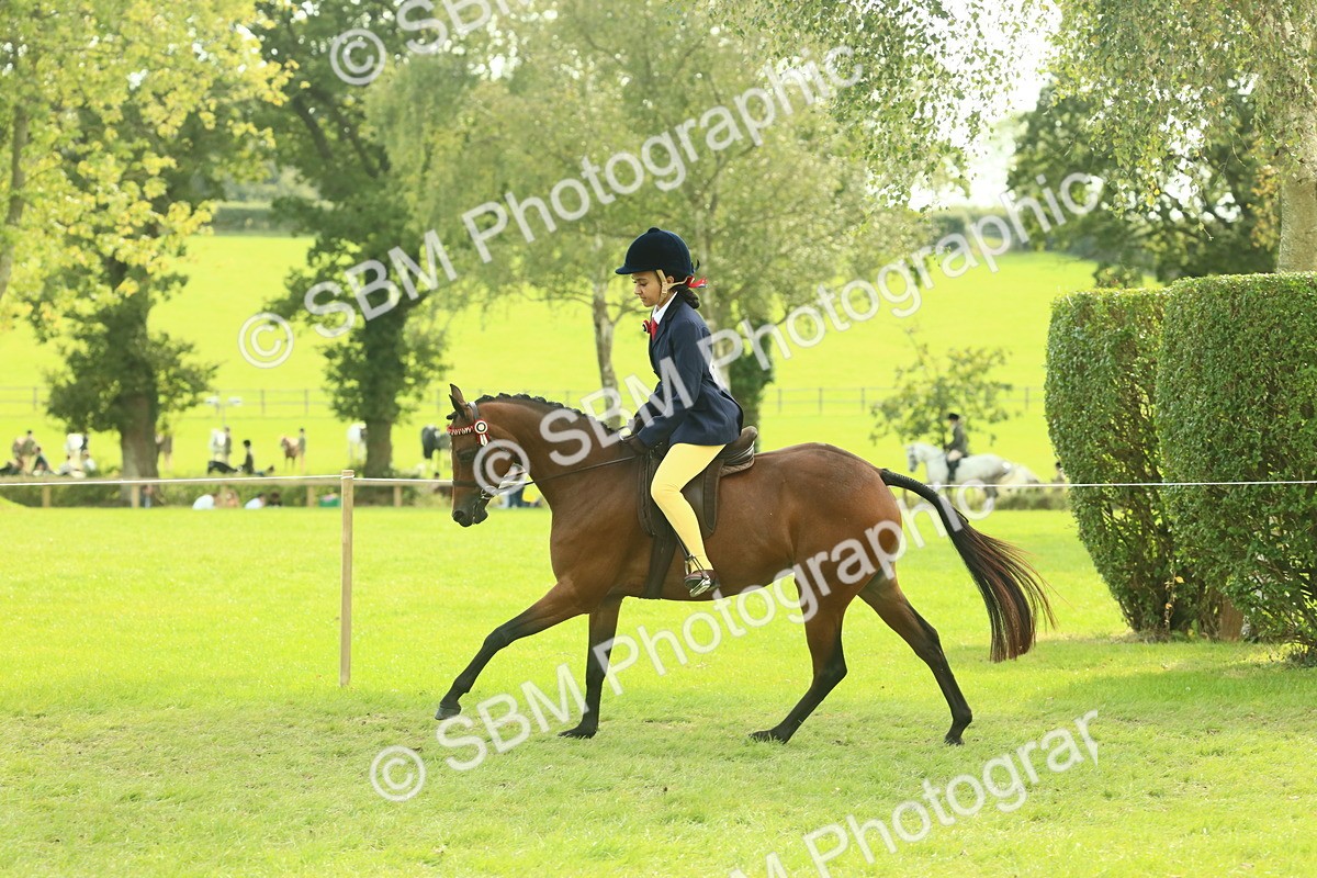 SBM_68092 - S57 - Part Bred Pony Ridden