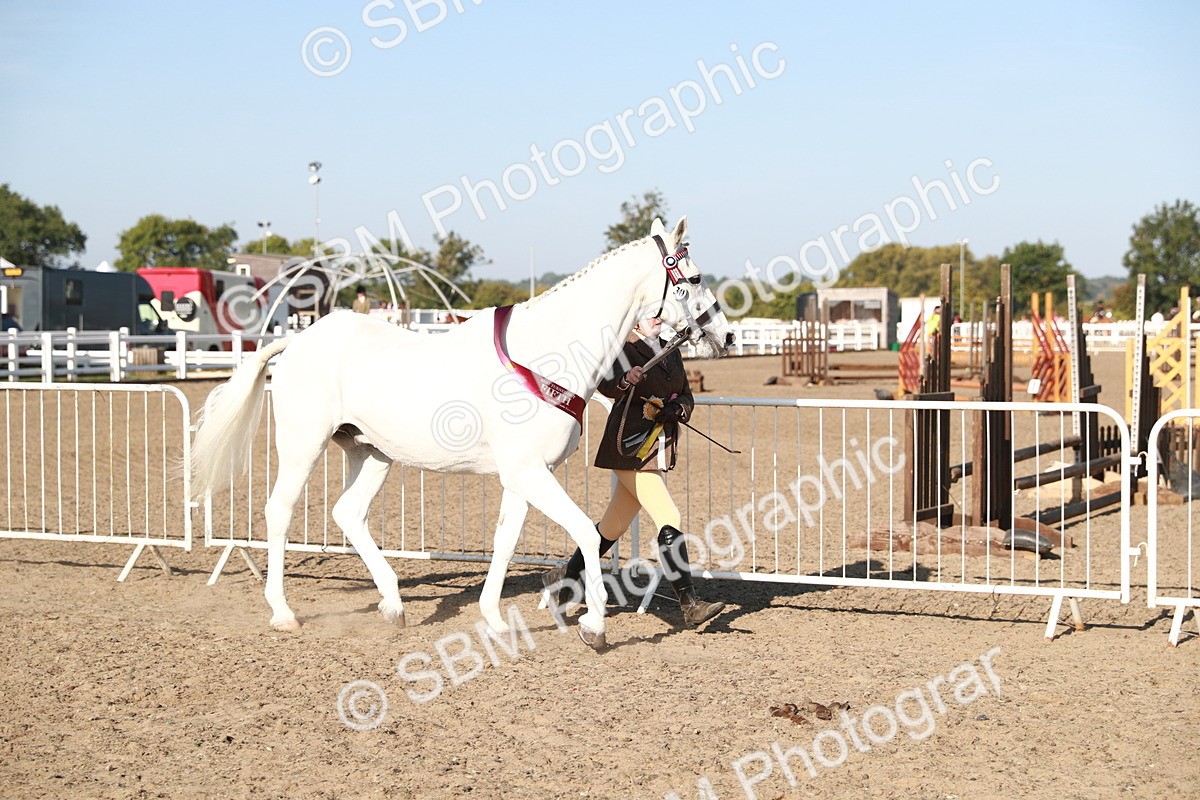 SBM_00180 - Class 40 Best Turned Out IH