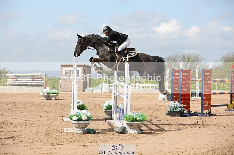 250427-111802-15914 - Cls 36 Young Horse 7yr old