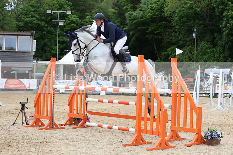 3E7A9636 - Class 9: Senior Foxhunter/1.20 open
