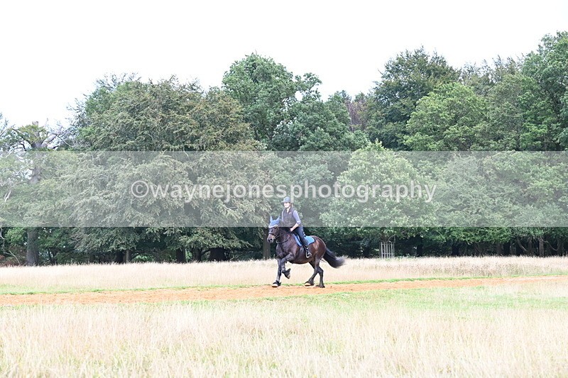 DSC_8705 - Time at Statue 13:52 to 14:33