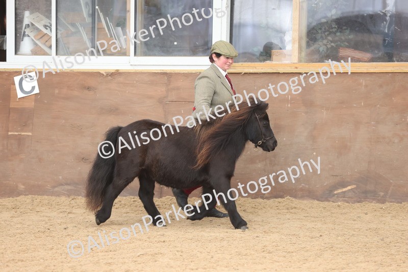 20251109-0303 - Class 13 - Mares 4 Years and Over