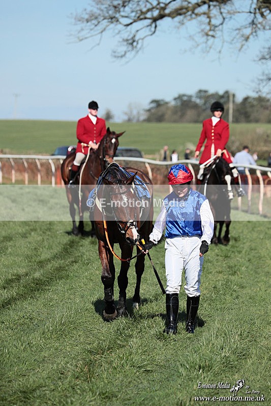 PtP 210326 186 - VWH Cirencester Races 21/03/26