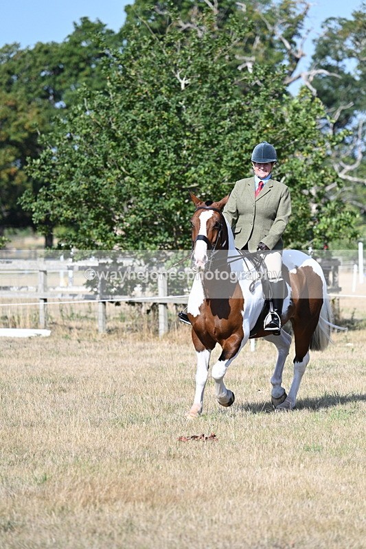 WJ7_2858 - Class 8 Ridden Tack & Turnout